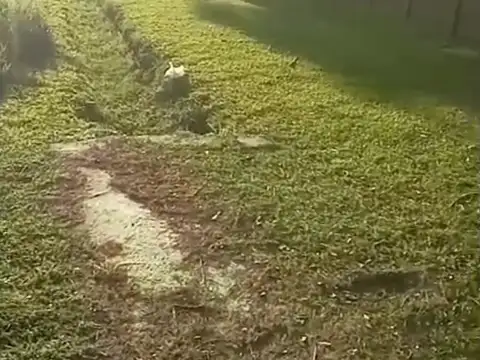 Terreno en Venta en Cañuelas, USD 45.000