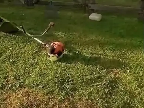 Terreno en Venta de 675,0 m2