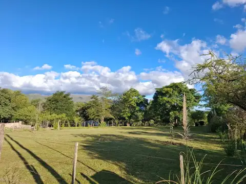 El Vizconde