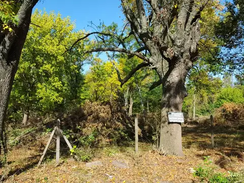 Terreno en Venta de 7030,0 m2