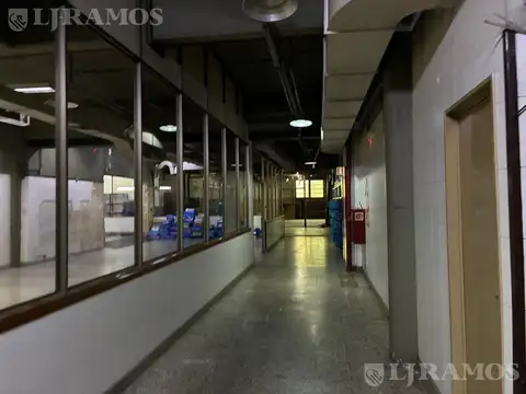Galpon en Alquiler A Estrenar