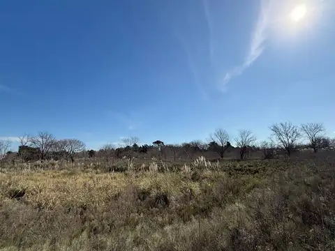 Terreno en Venta de 99229,0 m2