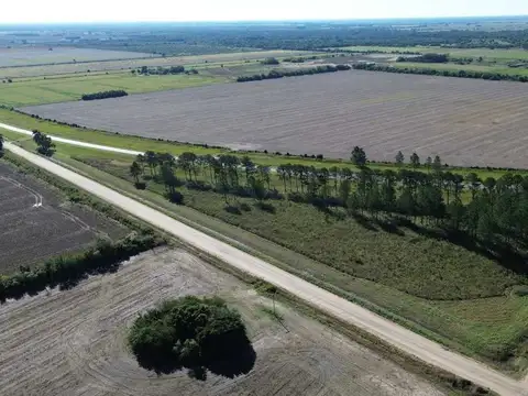 Se vende Lote de 2,39 hectáreas sobre RP 31 Avda