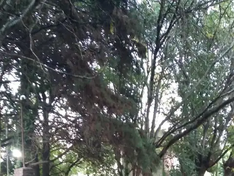 Terreno en Venta 18  mts Frente