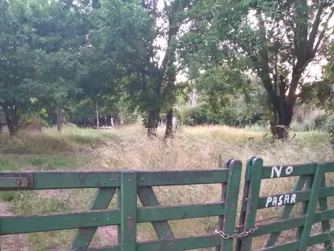 Terreno en Venta 53  mts Fondo