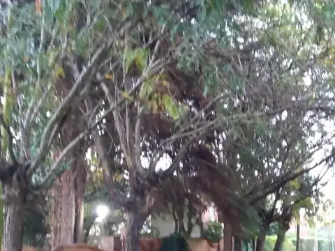 Terreno en Venta en City Bell, USD 76.000