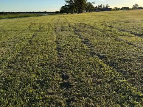 Terreno en Venta 29  mts Frente