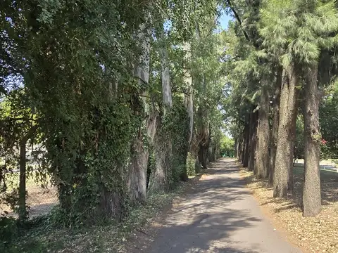 Terreno en Venta de 512,0 m2