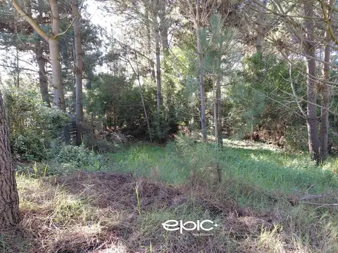 Terreno en Venta 27  mts Fondo