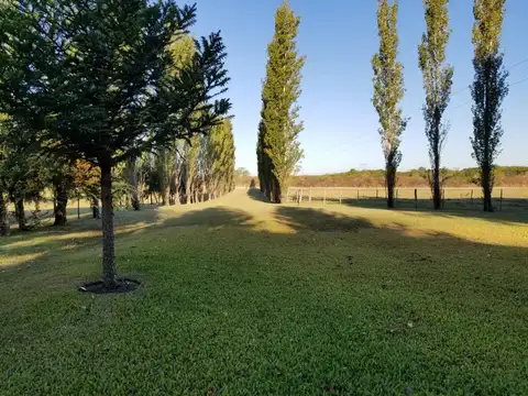 Ruta Nacional 42 km303