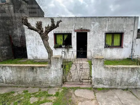 El tordo Nº al 300