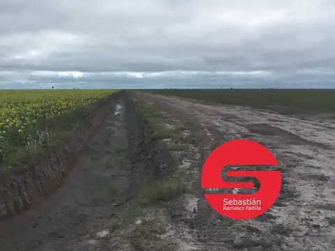 Campo venta en Santa Lucia Norte Santa Fe Distrito Gato Colorado