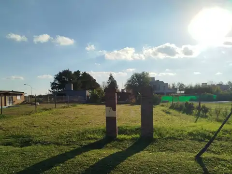 La Taba entre Colectora y Avenida Los Nogales , Piso No definido