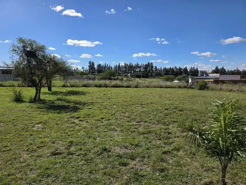 Santa Catalina