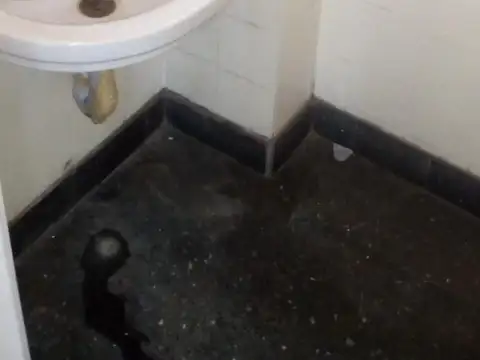 LOCAL COMERCIAL AV FOREST CON O SIN RENTA