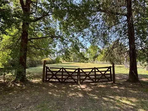 TERRENO EN VENTA, ALTAMIRA