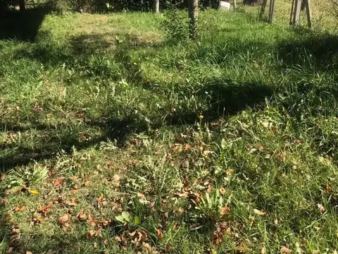 Terreno En Parque Irizar 11075