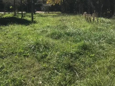 Terreno en Venta de 1000,0 m2