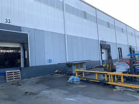 Constituyentes al 4100