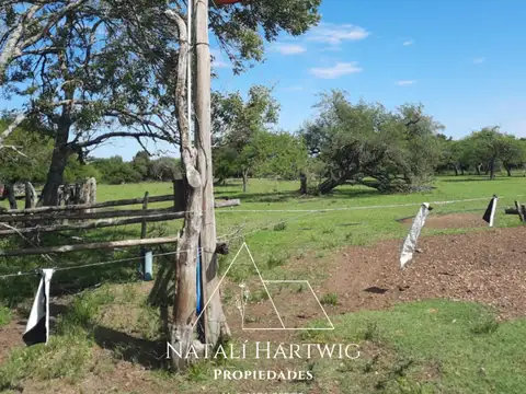 Campo en Venta de 386  ha