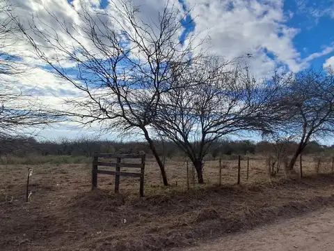 Terreno en Venta de 1000,0 m2
