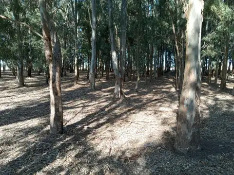 Terreno en venta - 14.160mts2 - Berisso