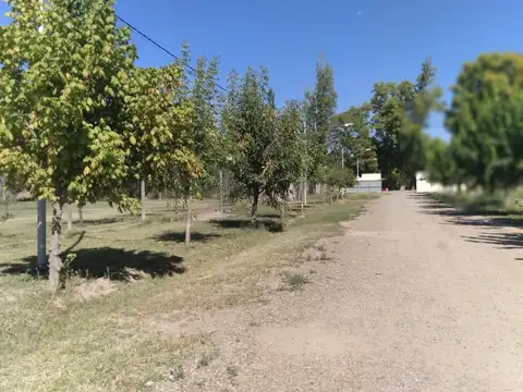 Terreno en Venta en Chacras de Coria, Luján de Cuyo
