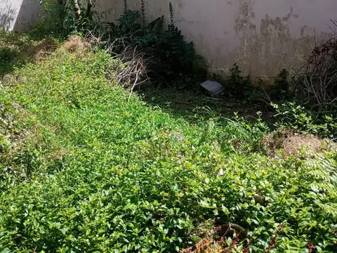 Terreno en Venta 8  mts Frente