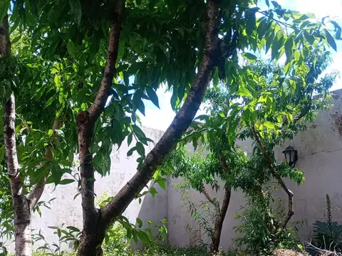 Terreno en Venta de 241,0 m2