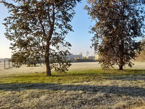 Terreno en Venta 50  mts Fondo