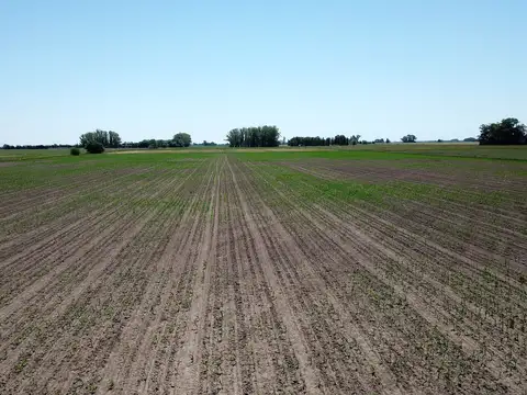 Campo en Venta de 49  ha