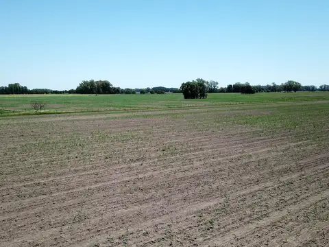 Campo en venta en Torres - Carlos Keen