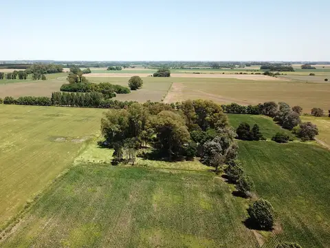 Campo en venta en Torres - Carlos Keen