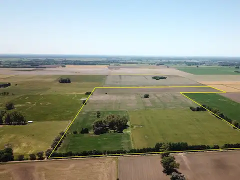 Campo en venta en Torres - Carlos Keen