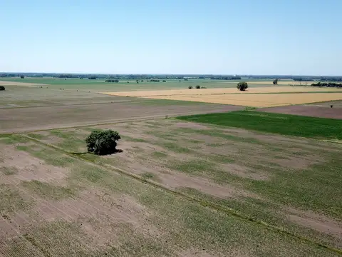 Campo agrícola en Torres - Carlos Keen