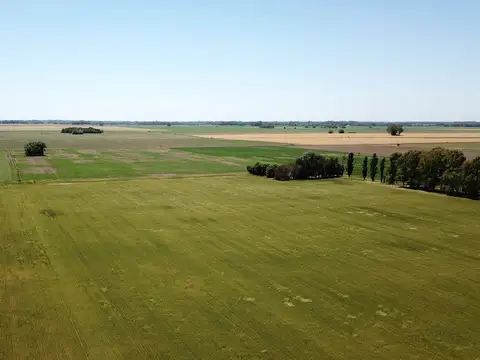 Campo agrícola en Torres - Carlos Keen