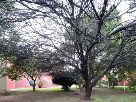 Bv. De La Estacion 1249 , Piso 2