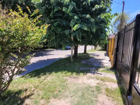 Juan M. Castro Chaves 300