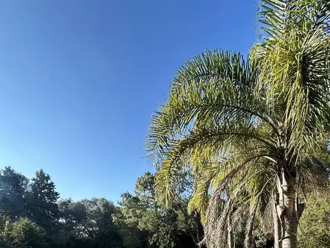 VENTA TERRENO 2800 MTS BARRIO SAN JORGE, LOS CARDALES