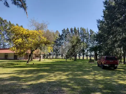 Campo en Venta Ganadero