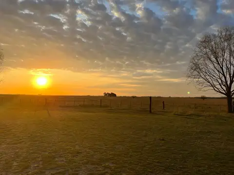 Domselaar muy buen campo de 392.5 h excelente ubicación