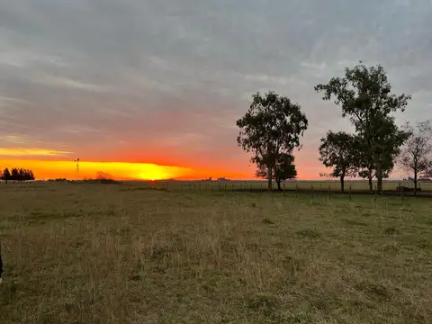 Domselaar muy buen campo de 392.5 h excelente ubicación
