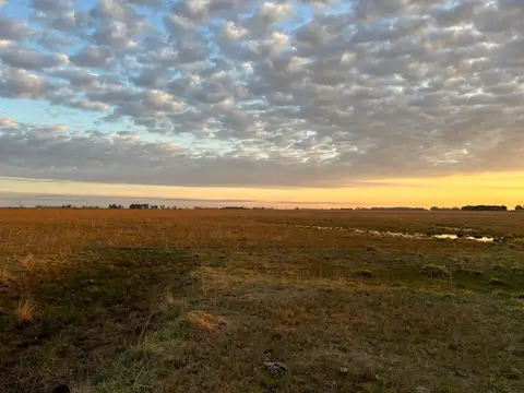 Campo en Venta de 0,04  ha