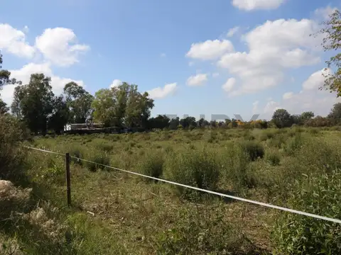 Terreno en Venta en Arturo Segui, USD 65.000