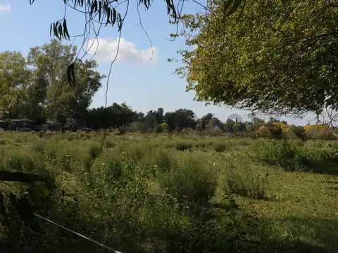 LOTES CON FRENTE A CALLE 419 (AV. ARANA) EN VENTA