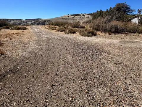 Doctor Riccardi Orestes 1600