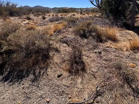 TERRENO BARRIO ASTRA, 985M2