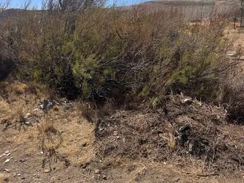 Terreno en Venta de 985,0 m2