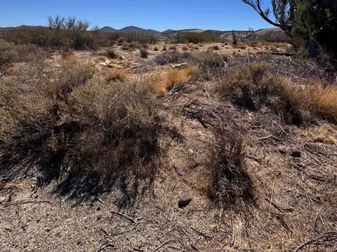 TERRENO BARRIO ASTRA, 985M2