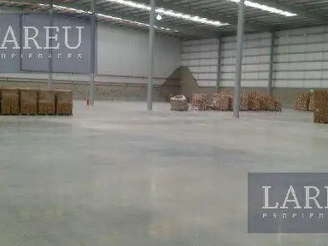 Local en Alquiler A Estrenar